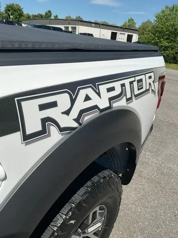 2018 Ford F-150 Raptor - Photo 15