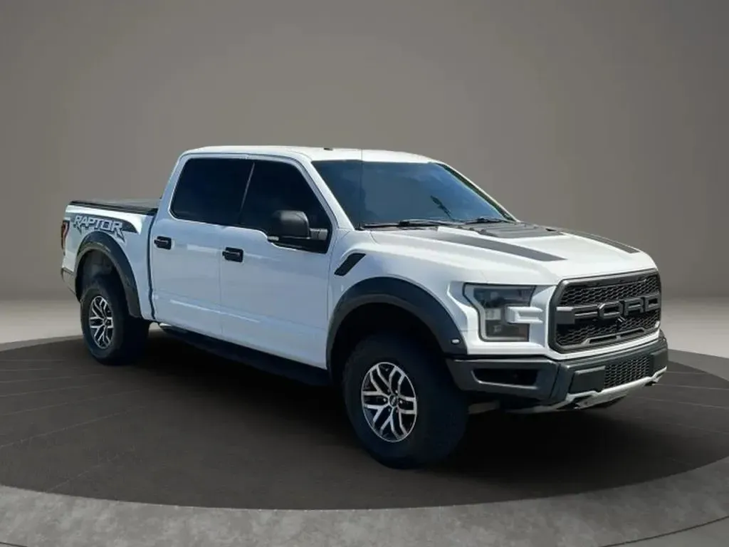 2018 Ford F-150 Raptor - Photo 7