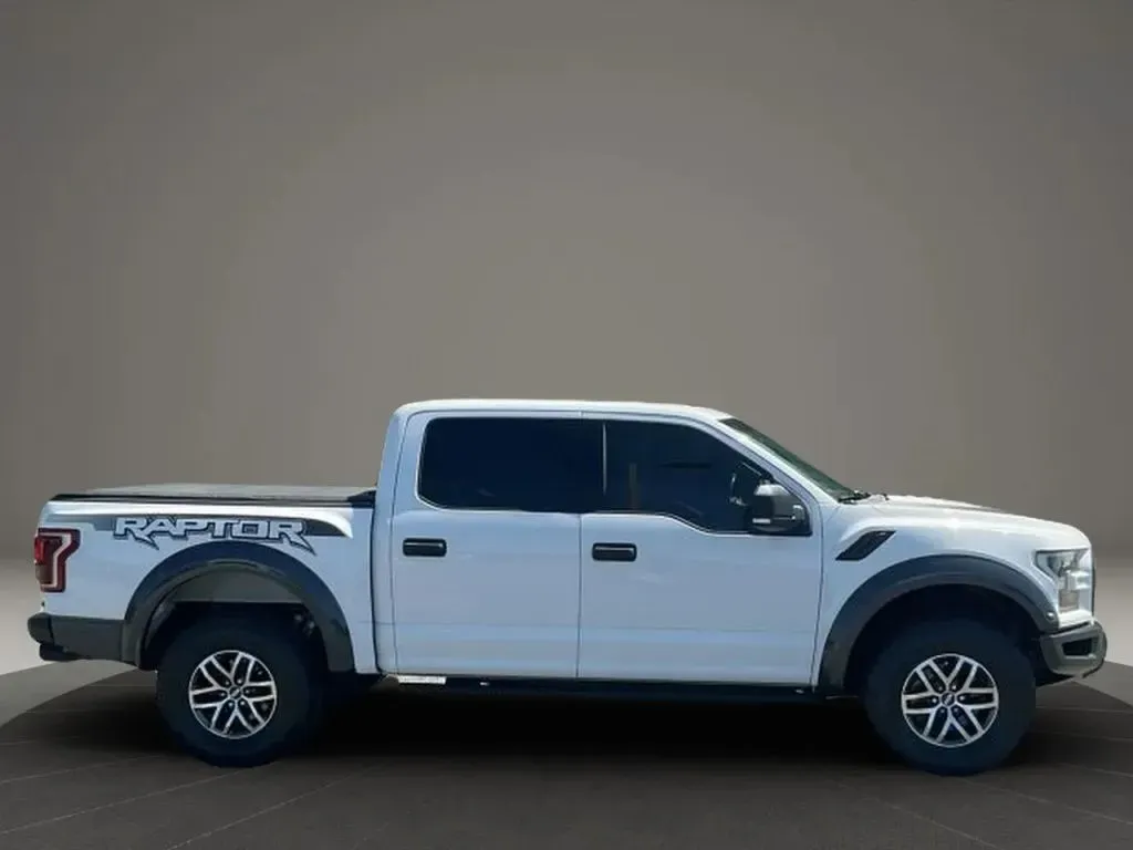 2018 Ford F-150 Raptor - Photo 6