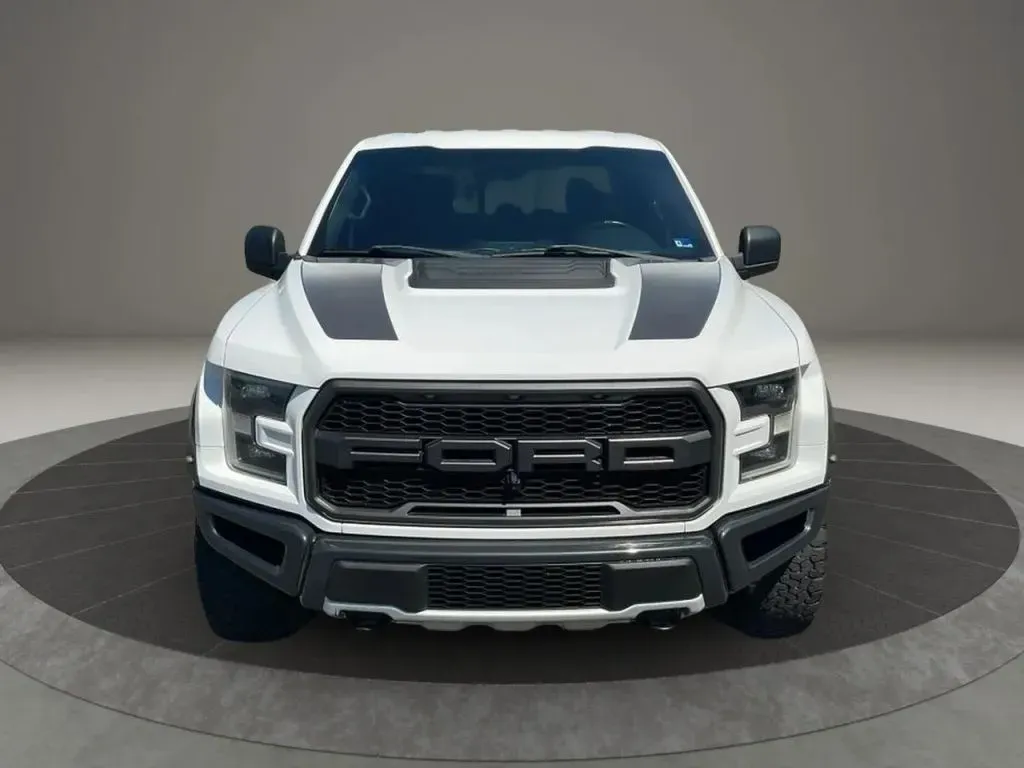 2018 Ford F-150 Raptor - Photo 8