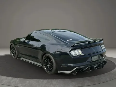 More photos of 2019 Ford Mustang GT Premium Coupe 2D at DNX Motors Altavista, VA