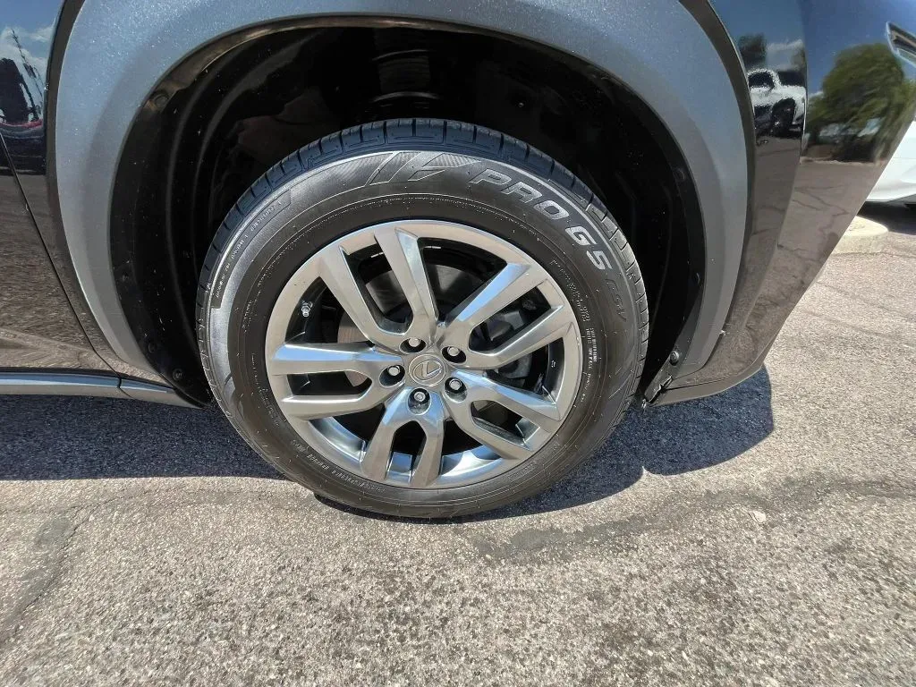 Lexus NX photo 19