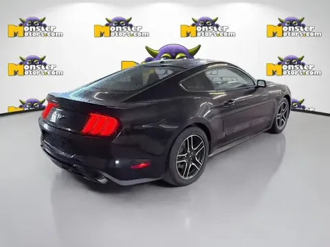 More photos of 2019 Ford Mustang EcoBoost at Monster Motors - Jackson, MI, MI