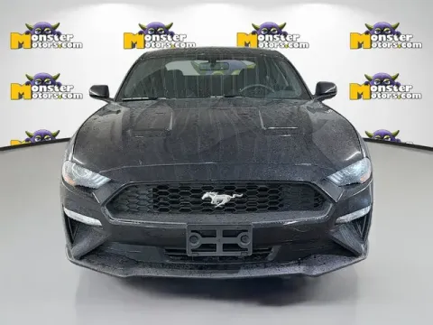 Photos of 2019 Ford Mustang EcoBoost for sale in Michigan Center, MI at Monster Motors - Jackson, MI