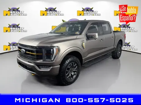 Gray 2022 Ford F-150 Tremor for sale in Michigan Center, MI