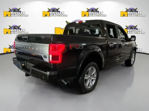 More photos of 2020 Ford F-150 Platinum at Monster Motors - Jackson, MI, MI