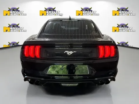 More photos of 2023 Ford Mustang EcoBoost at Monster Motors - Jackson, MI, MI