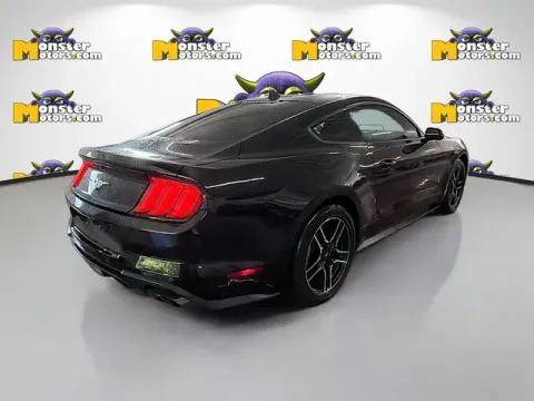 More photos of 2023 Ford Mustang EcoBoost at Monster Motors - Jackson, MI, MI