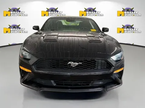 Photos of 2023 Ford Mustang EcoBoost for sale in Michigan Center, MI at Monster Motors - Jackson, MI