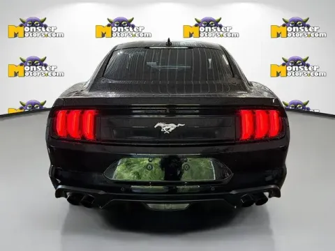 More photos of 2023 Ford Mustang EcoBoost at Monster Motors - Jackson, MI, MI
