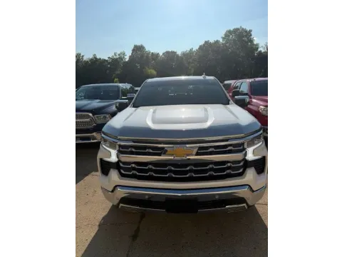 Photos of 2023 Chevrolet Silverado 1500 LTZ for sale in Michigan Center, MI at Monster Motors - Jackson, MI