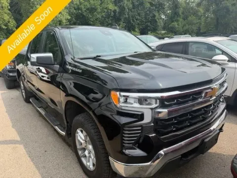 Another view of 2022 Chevrolet Silverado 1500 LT for sale in Michigan Center, MI at Monster Motors - Jackson, MI