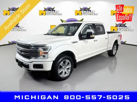 Gray 2019 Ford F-150 Platinum for sale in Michigan Center, MI