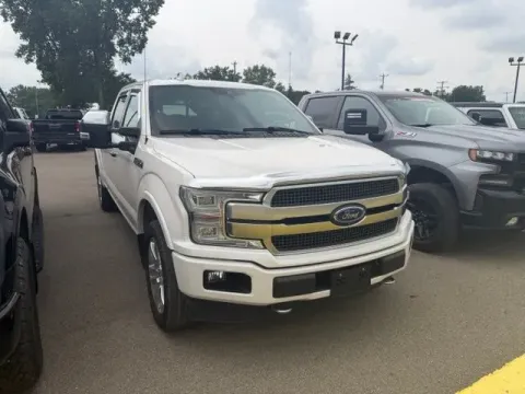 Another view of 2019 Ford F-150 Platinum for sale in Michigan Center, MI at Monster Motors - Jackson, MI