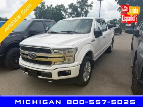 Gray 2019 Ford F-150 Platinum for sale in Michigan Center, MI