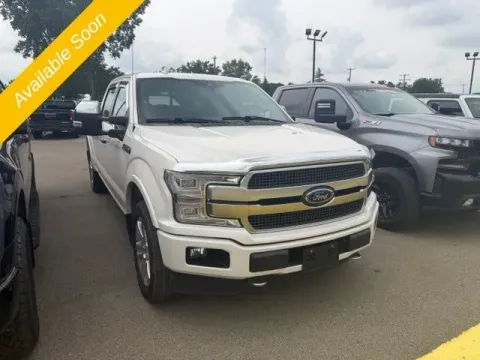 More photos of 2019 Ford F-150 Platinum at Monster Motors - Jackson, MI, MI