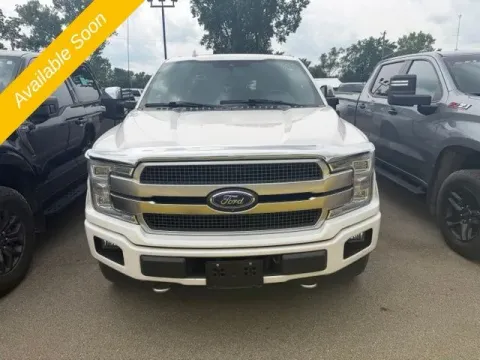 Another view of 2019 Ford F-150 Platinum for sale in Michigan Center, MI at Monster Motors - Jackson, MI
