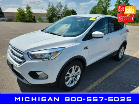 Unknown 2019 Ford Escape SE for sale in Michigan Center, MI