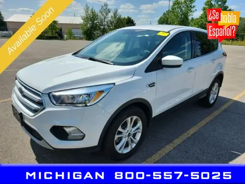 Unknown 2019 Ford Escape SE for sale in Michigan Center, MI