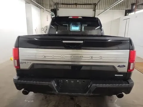 Another view of 2020 Ford F-150 Limited for sale in Michigan Center, MI at Monster Motors - Jackson, MI