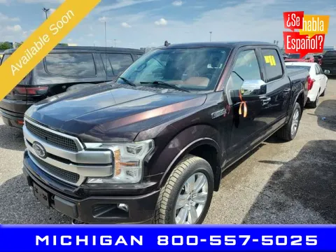 Unknown 2019 Ford F-150 Platinum for sale in Michigan Center, MI
