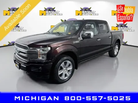 Unknown 2019 Ford F-150 Platinum for sale in Michigan Center, MI
