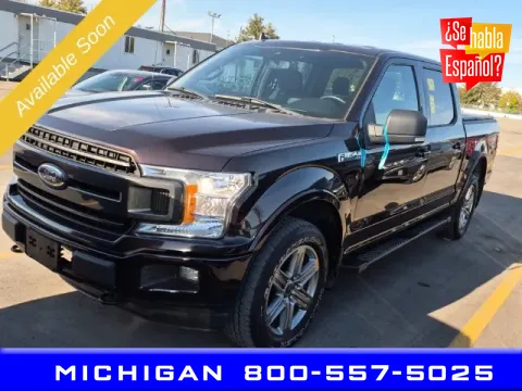 Unknown 2019 Ford F-150 XLT for sale in Michigan Center, MI