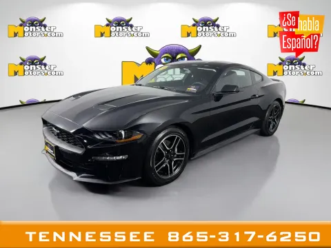 Black 2019 Ford Mustang EcoBoost Premium for sale in Louisville, TN