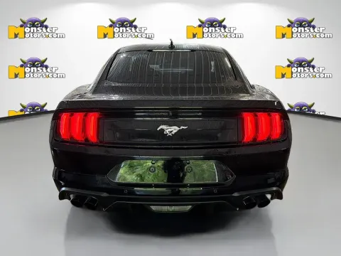 More photos of 2023 Ford Mustang EcoBoost at Monster Motors - Knoxville, TN, TN