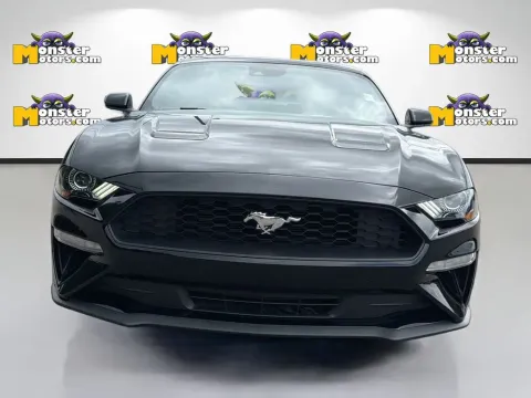 Photos of 2023 Ford Mustang EcoBoost for sale in Louisville, TN at Monster Motors - Knoxville, TN