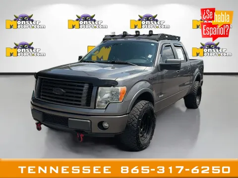 Gray 2012 Ford F-150 FX4 for sale in Louisville, TN