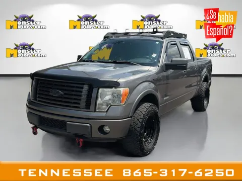Gray 2012 Ford F-150 FX4 for sale in Louisville, TN