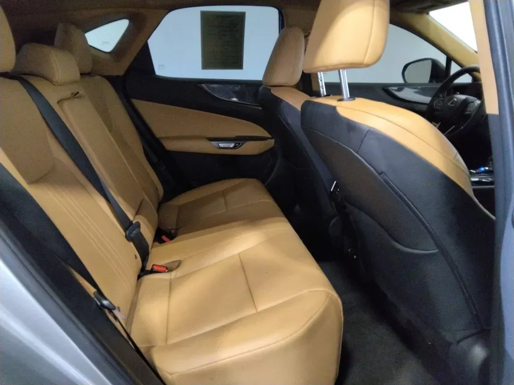 Lexus NX photo 43
