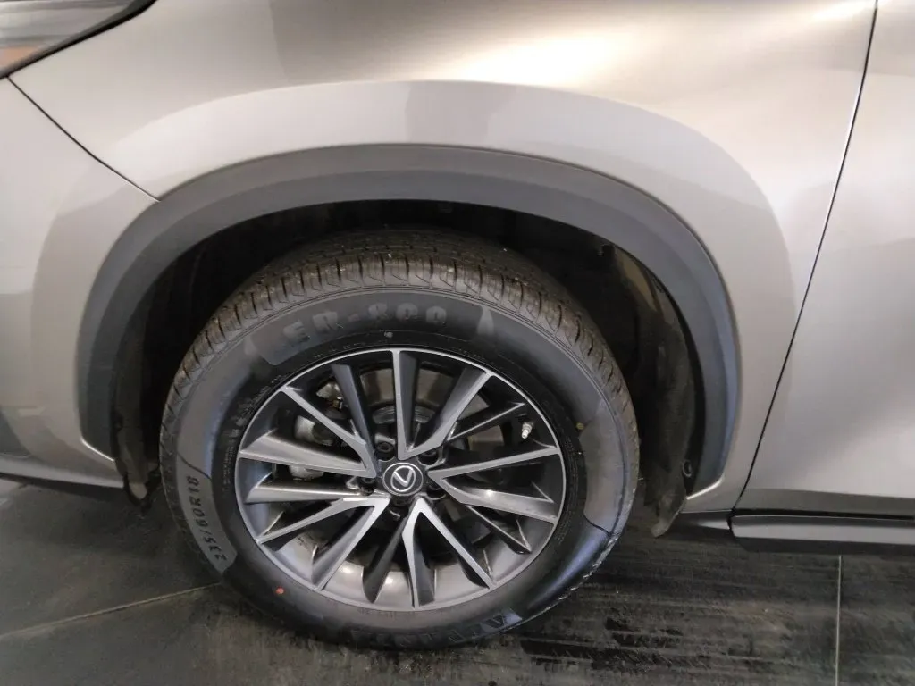 Lexus NX photo 48