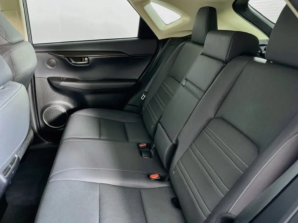 Lexus NX photo 32
