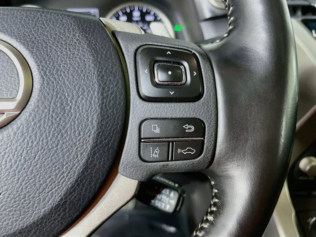 Lexus NX photo 16
