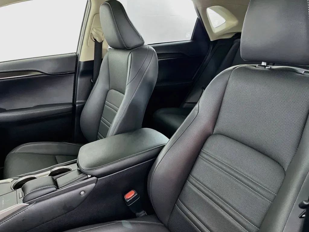 Lexus NX photo 29