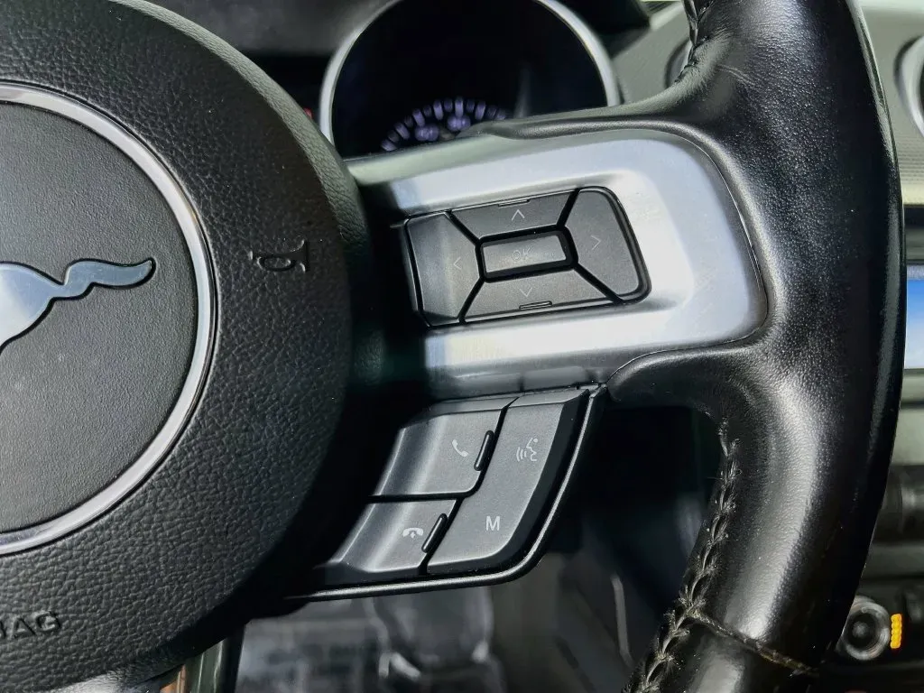 Ford Mustang photo 15
