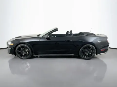 More photos of 2019 Ford Mustang EcoBoost at Clement Supercenter, MO