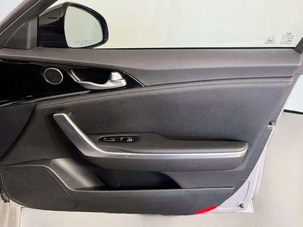Kia Stinger photo 28