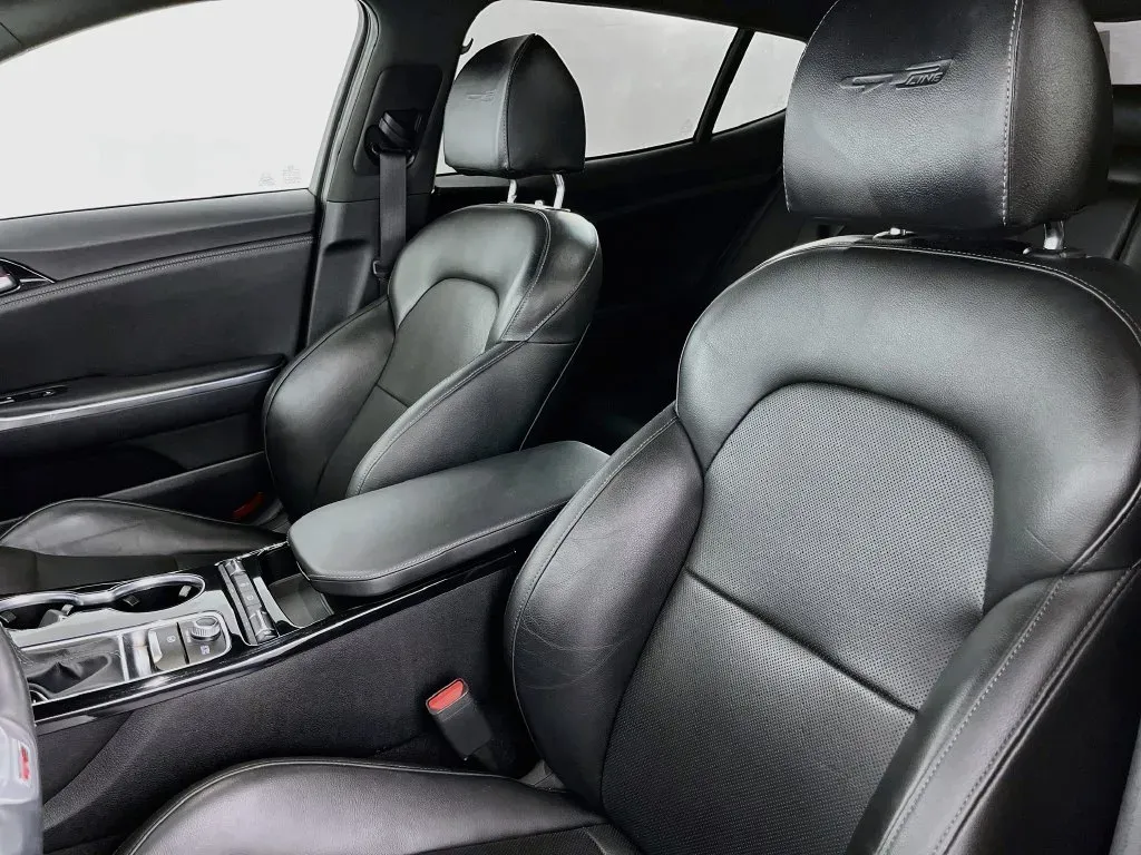 Kia Stinger photo 22