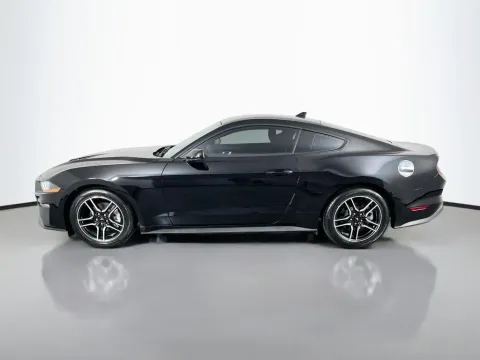 More photos of 2021 Ford Mustang EcoBoost at Clement Supercenter, MO