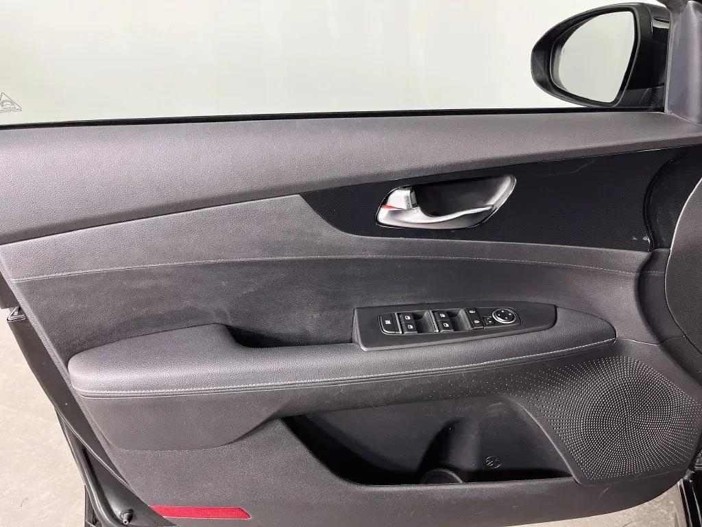 Kia Forte photo 23