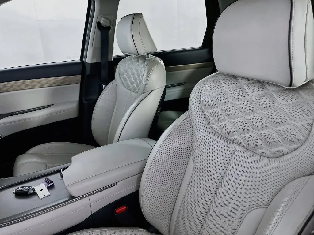 Hyundai Palisade photo 28