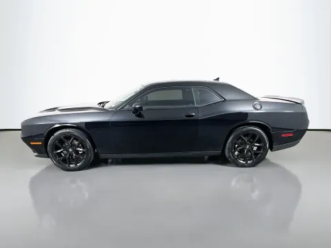 More photos of 2023 Dodge Challenger SXT at Clement Pre-Owned, MO