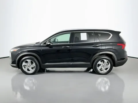 More photos of 2023 Hyundai Santa Fe SEL at Clement Pre-Owned, MO