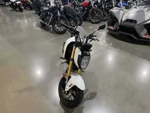 Another view of 2025 Honda Grom for sale in Grain Valley, MO at Dell's Honda Powerhouse
