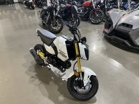 Photos of 2025 Honda Grom for sale in Grain Valley, MO at Dell's Honda Powerhouse