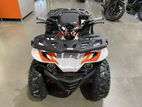 Another view of 2026 Kayo Predator 125 for sale in Grain Valley, MO at Dell's Powersports