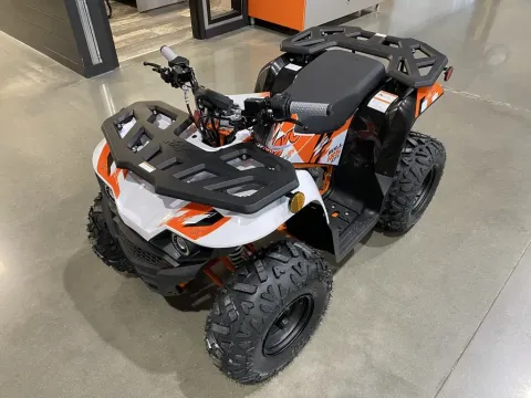 More photos of 2026 Kayo Bull 125 Efi at Dell's Powersports, MO
